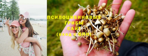 ешки Абинск